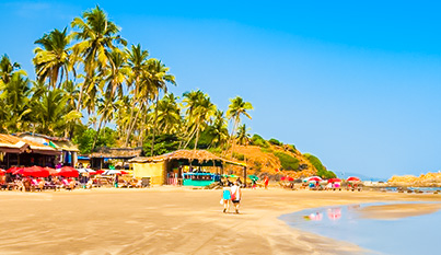 14-daagse Rondreis – Betoverend Kerala & Kleurrijk Goa