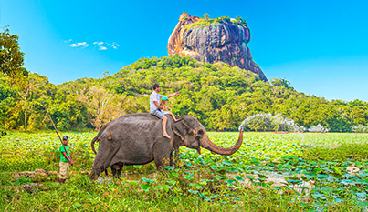 21-daagse rondreis door Sri Lanka